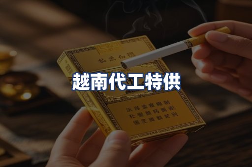越南代工特供